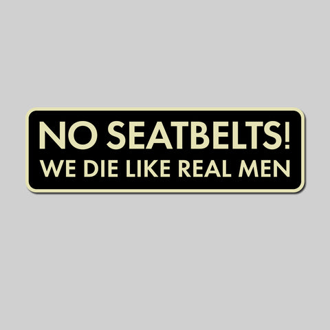 No Seatbelts Magnet or Decal